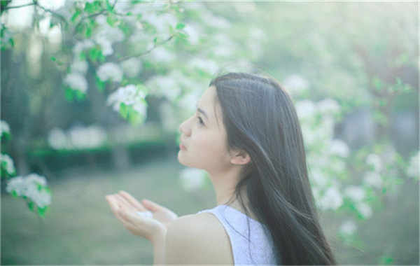 东川验血查男女几周可以验(验血查男女结果图)